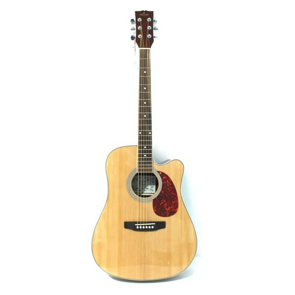 Pamel Guitar FG068C