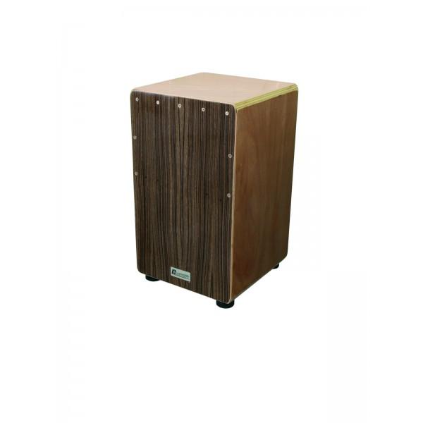 Cajon Dimavery CJ 310