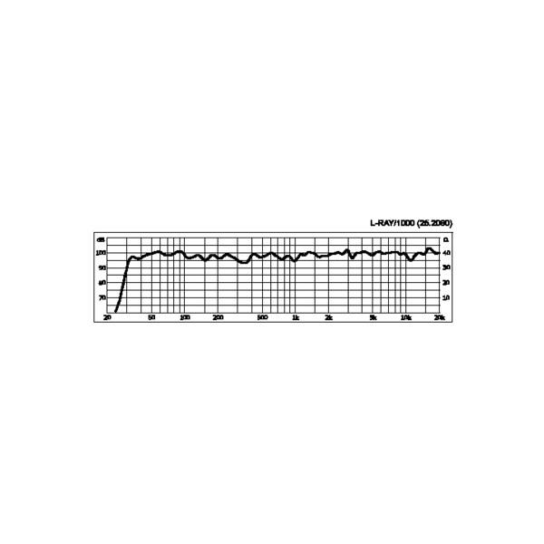 Mini Line Array Stage Line L-RAY/1000/WS - Mini Line Array Stage Line L-RAY/1000/WS