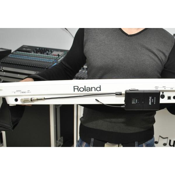 Digital W1008 - Instrumental set - Digital W1008 - Instrumental set