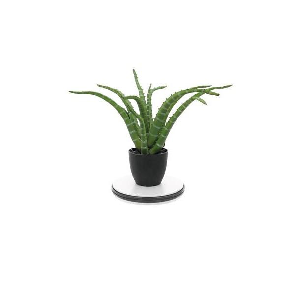 Platou Europalms Rotativ Pentru Expozitii 25 cm / 15 kg - Platou Europalms Rotativ Pentru Expozitii 25 cm / 15 kg