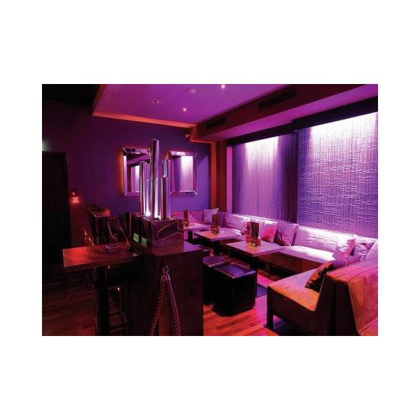 EUROLITE LED BAR-252 RGB 10mm 20┬░ white - EUROLITE LED BAR-252 RGB 10mm 20┬░ white