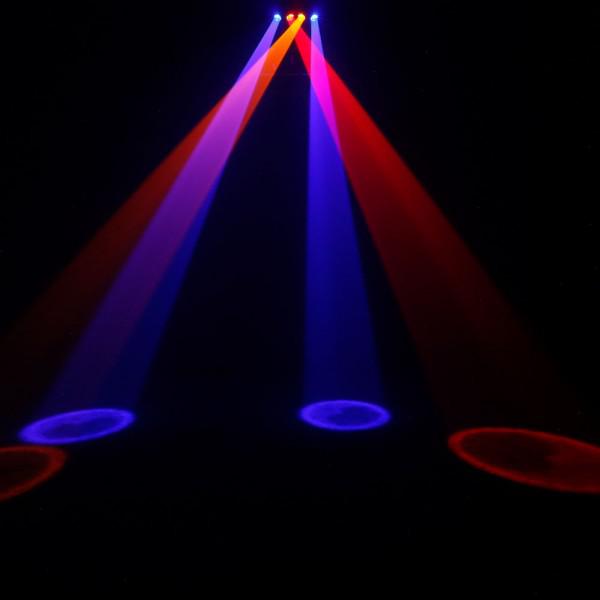 Cameo Wayfarer - Cameo Wayfarer