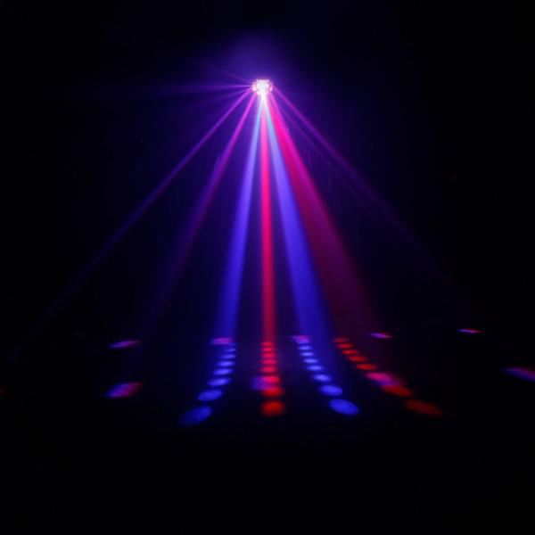 Cameo SERUM - Cameo SERUM